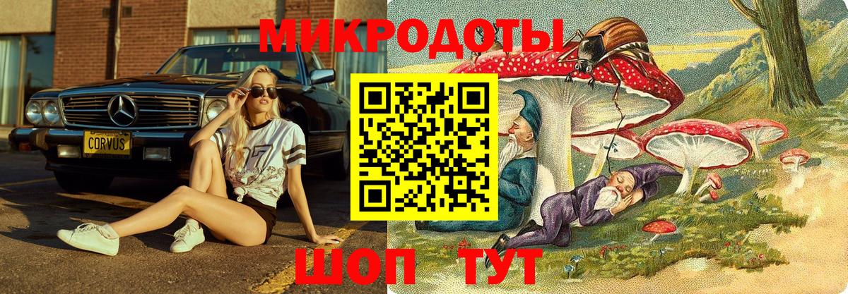 Галлюциногенные грибы MAGIC MUSHROOMS  Вход с VPN  Омск  Галлюциногенные грибы мухоморы 