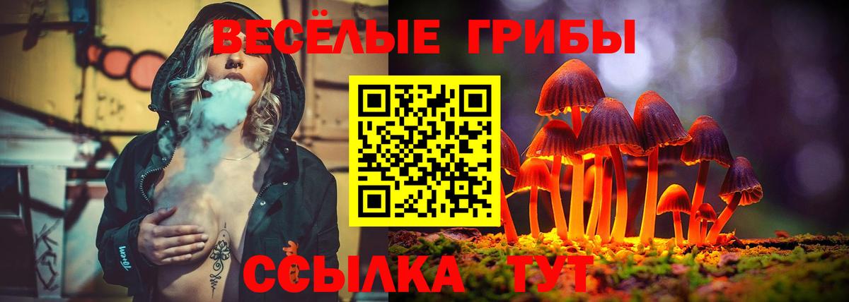 Псилоцибиновые грибы прущие грибы Омск